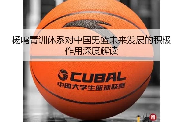 杨鸣青训体系对中国男篮未来发展的积极作用深度解读